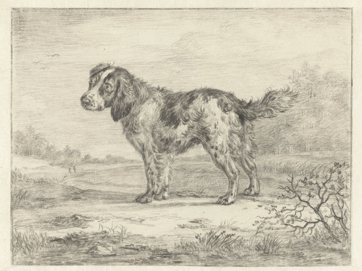 Spaniel står i et landskap av Jan Dasveldt