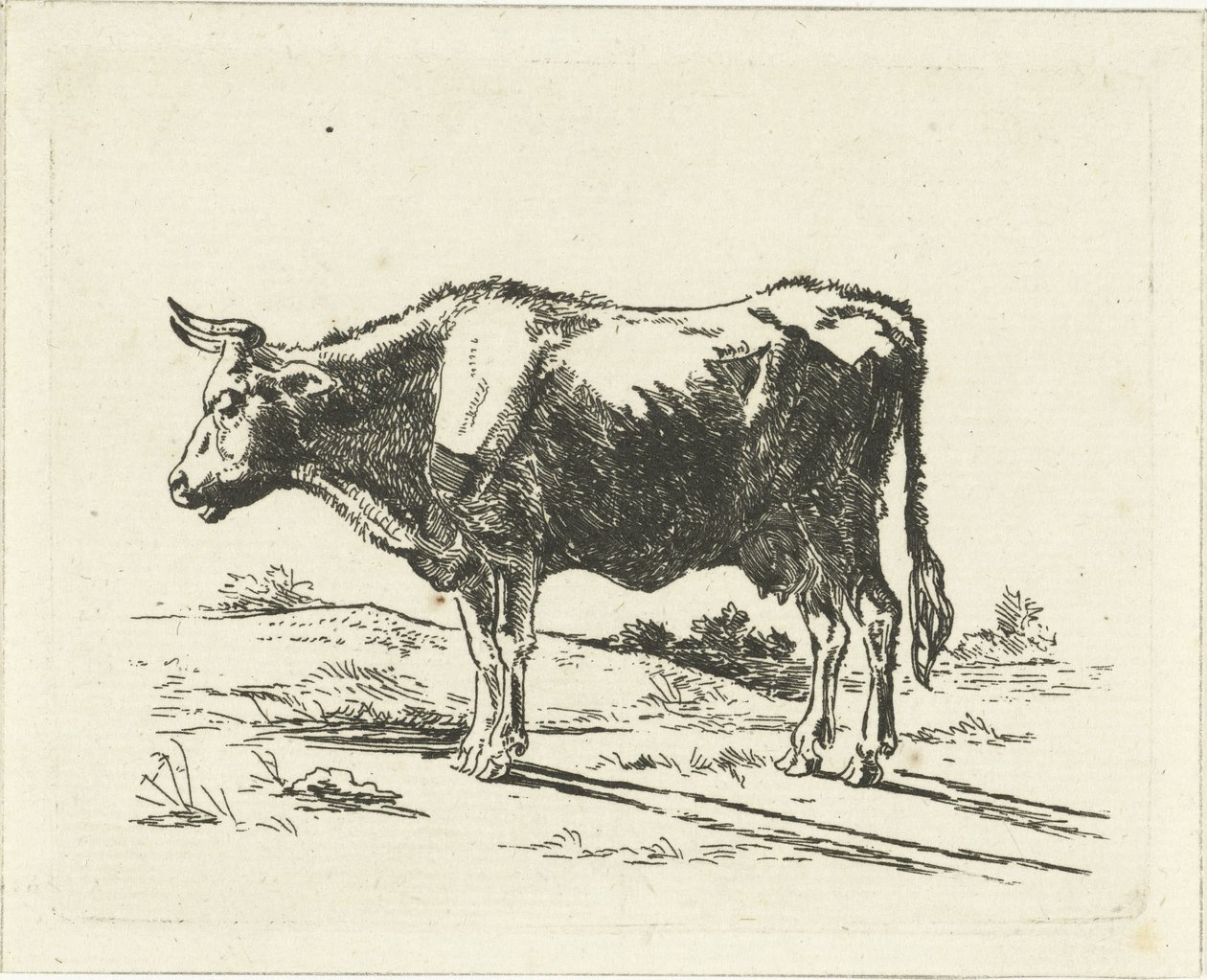 stående ku av Jan Dasveldt