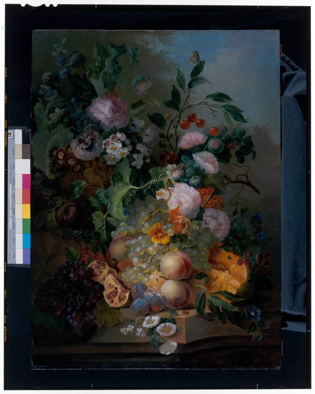 Stilleben med blomster, pærer, druer, kirsebær, en melon og sommerfugler av Jan Evert Morel