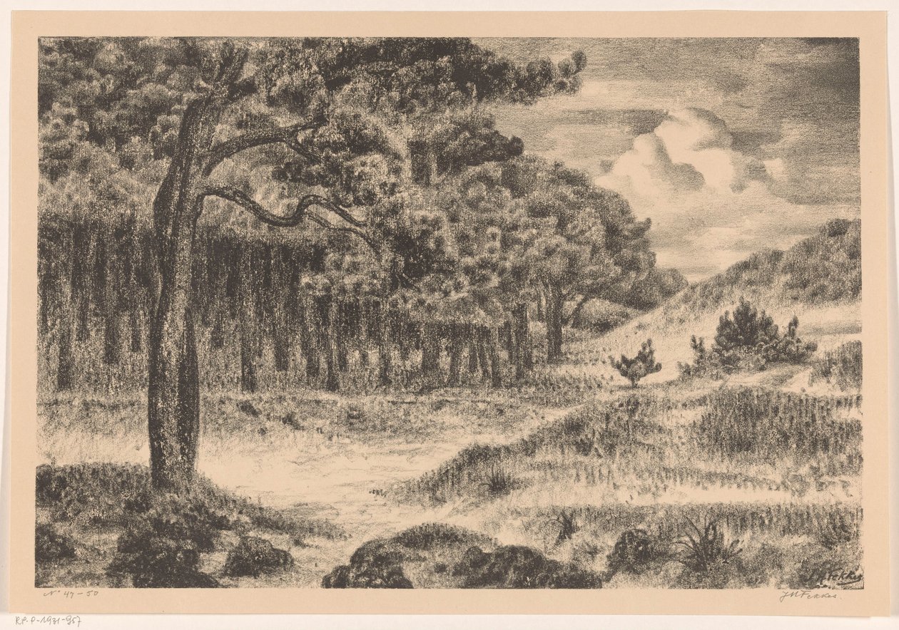 Skog i et kupert landskap av Jan Fekkes (signed by artist)