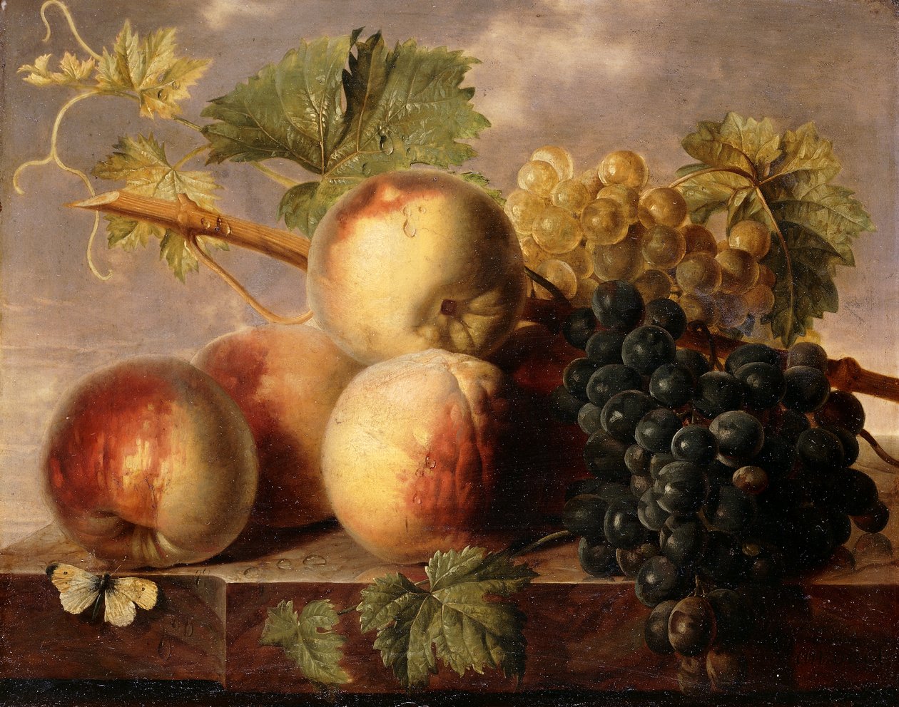 Fersken og druer med en hvit kål på en marmorhylle, av Jan Frans van Dael
