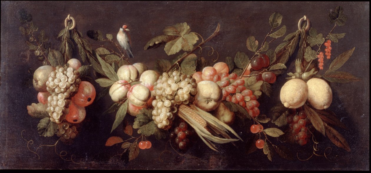 Stilleben med frukt og en fugl av Jan Frans van Son