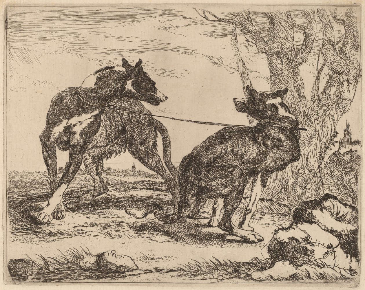 To greyhounds, i bånd og vendt mot hverandre av Jan Fyt