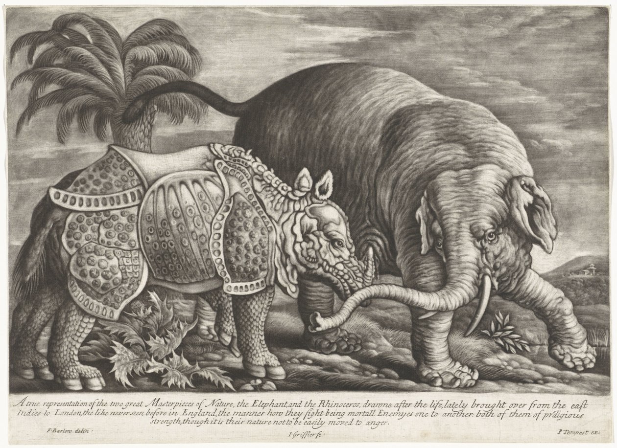 Olifant en neushoorn En sann representasjon av de to store mesterverkene i naturen, elefanten og neshornet (tittel på objektet) av Jan Griffier (I)