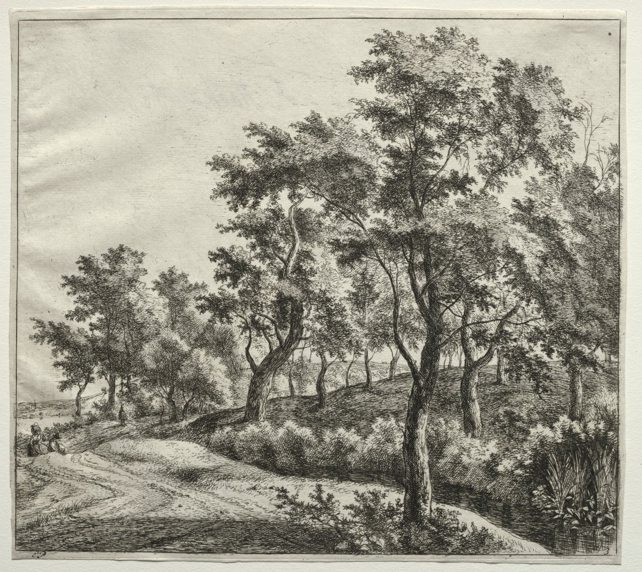  av Jan Hackaert