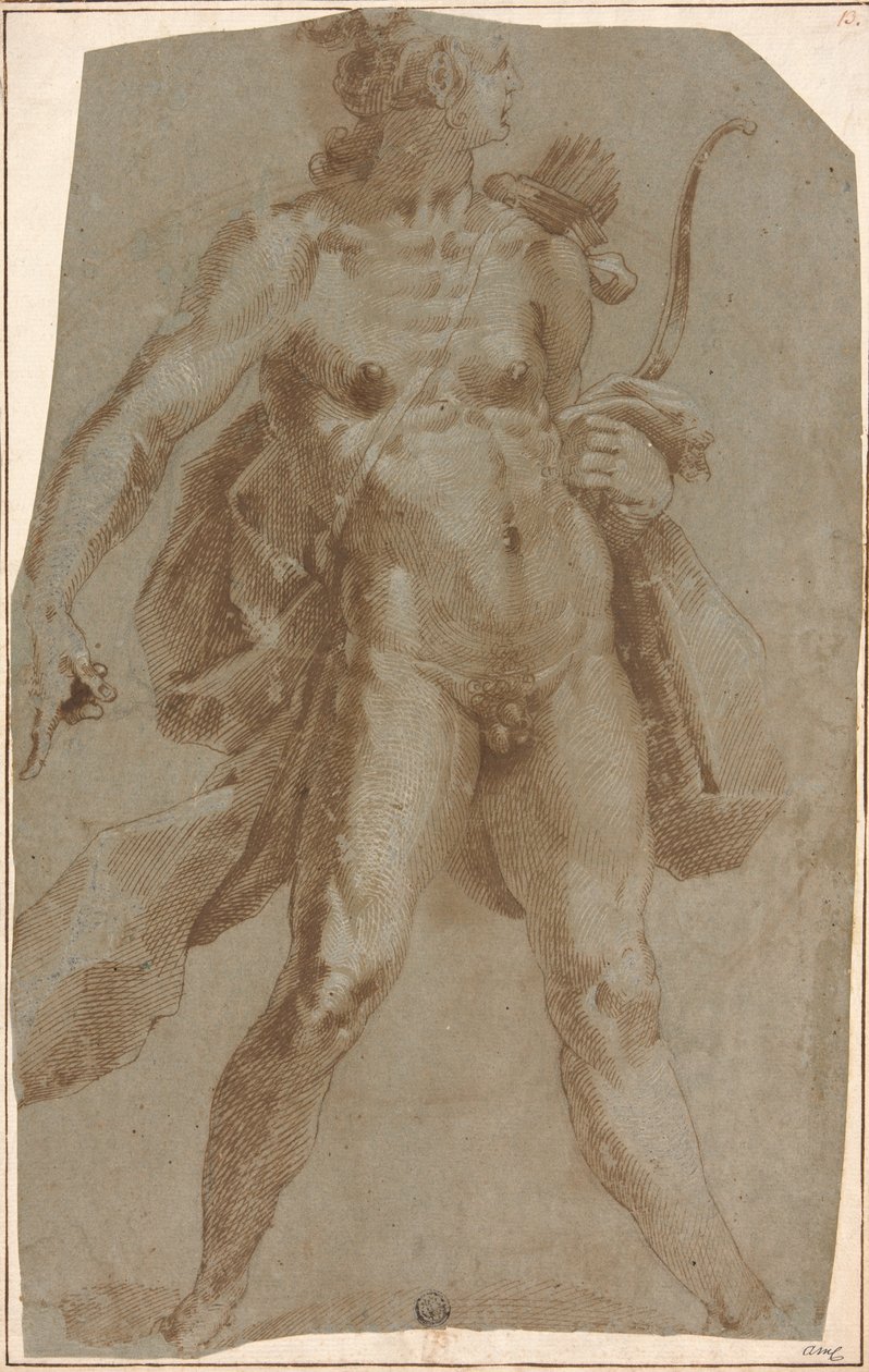 Apollo av Jan Harmensz. Muller