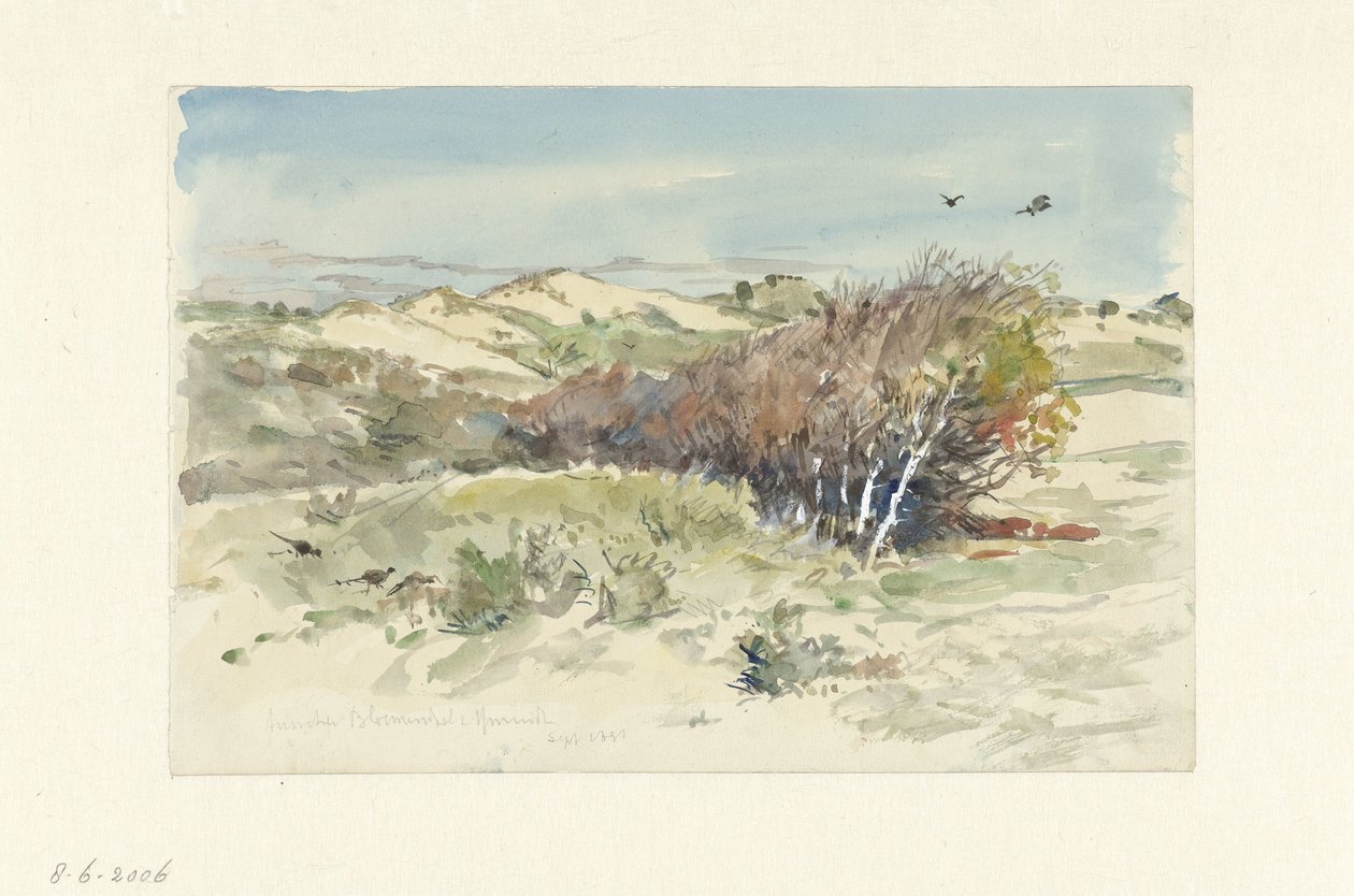 Sanddynelandskap mellom Bloemendaal og IJmuiden av Jan Hoynck van Papendrecht