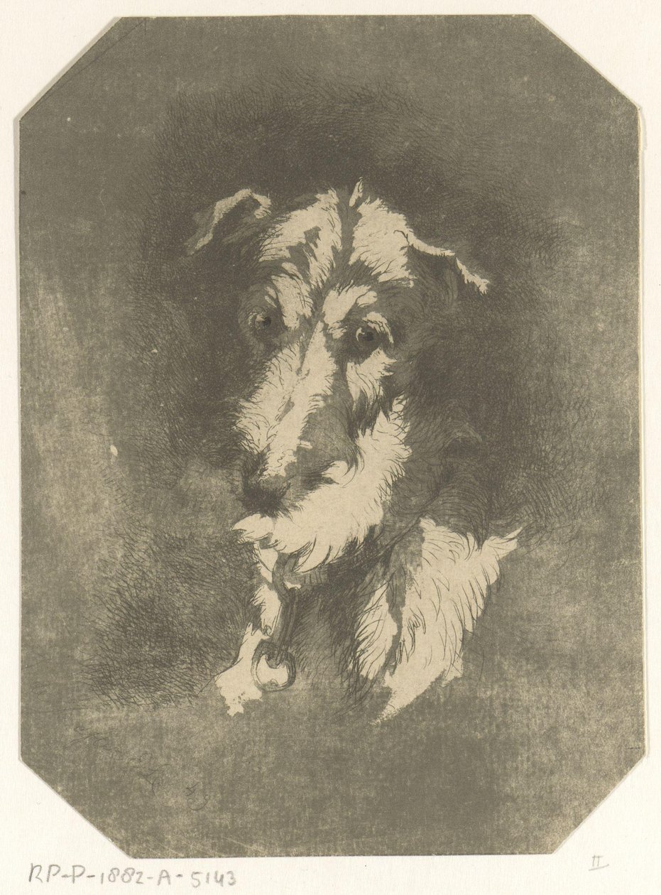 Greyhound hode av Jan Karel Jacob de Jonge