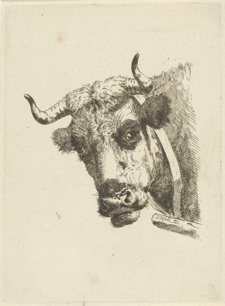 kuhode av Jan Kobell (II)
