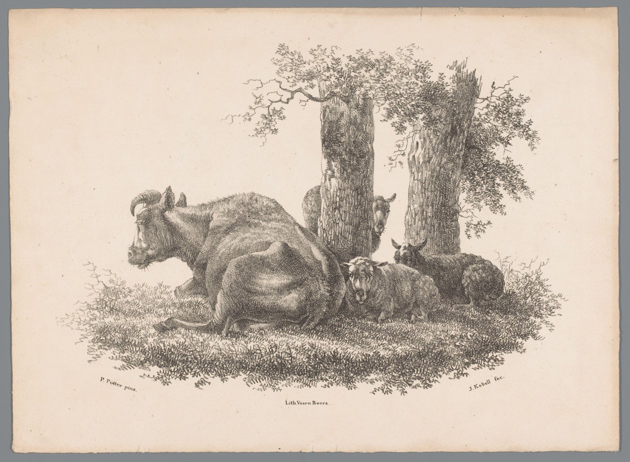 En ku og tre sauer Beesten Studien av J. Kobell etter Paul Potter Nr. 1 (serietittel) av Jan Kobell (III)