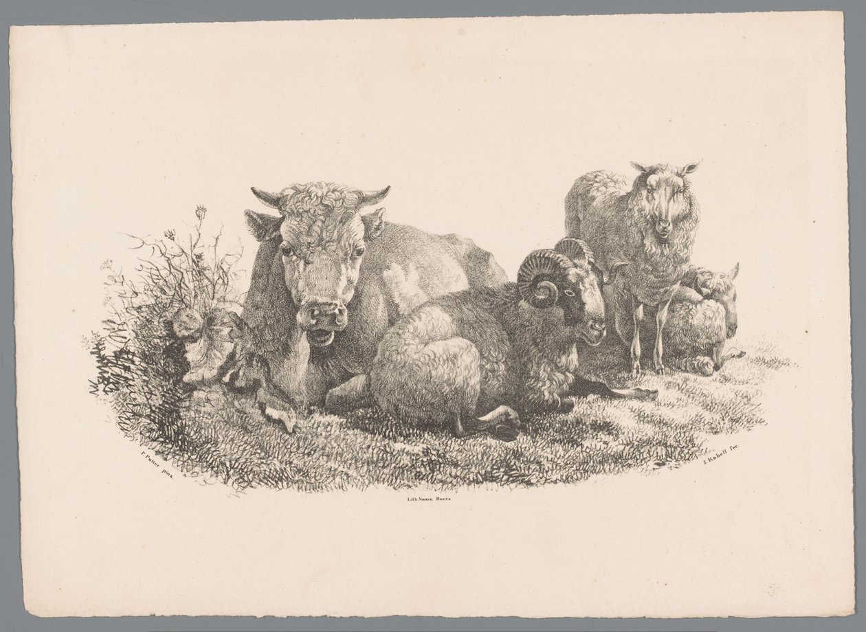 Ku, vær og to sauer Beesten Studien av J. Kobell etter Paul Potter Nr. 1 (serietittel) av Jan Kobell (III)