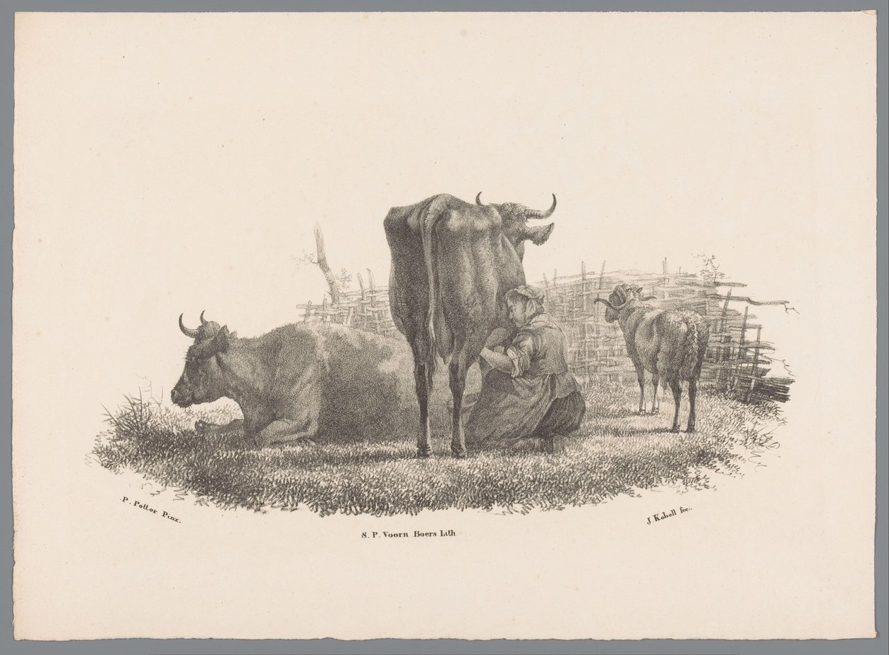 Melkende bondekone, to kyr og en vær Beesten Studien av J. Kobell etter Paul Potter Nr. 1 (serietittel) av Jan Kobell (III)