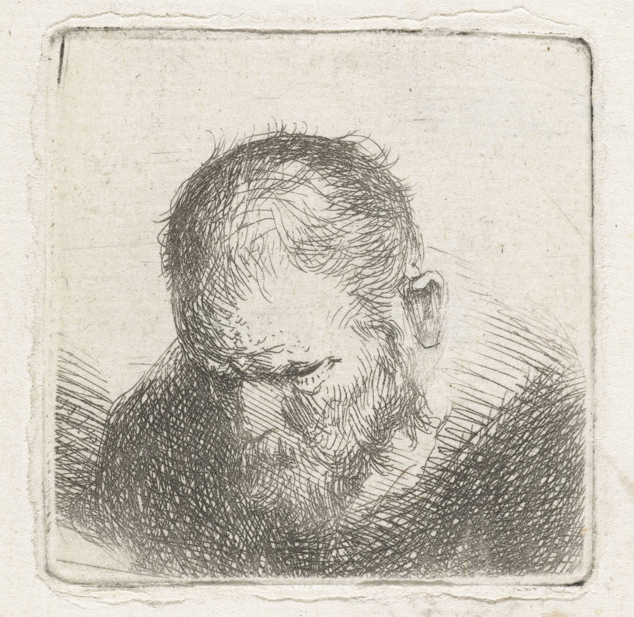 mann med skjegg av Jan Lievens (possibly)
