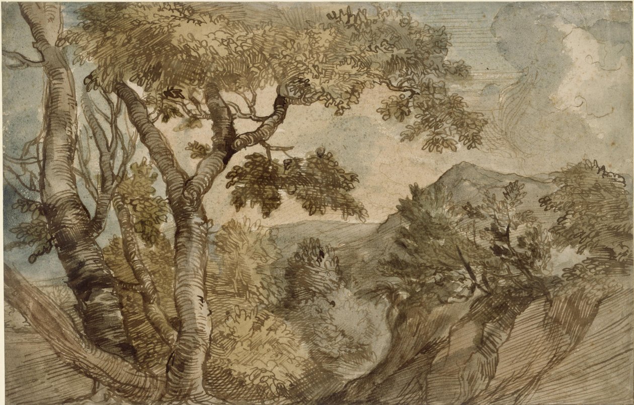 Fjellandskap med en gruppe trær av Jan Lievens
