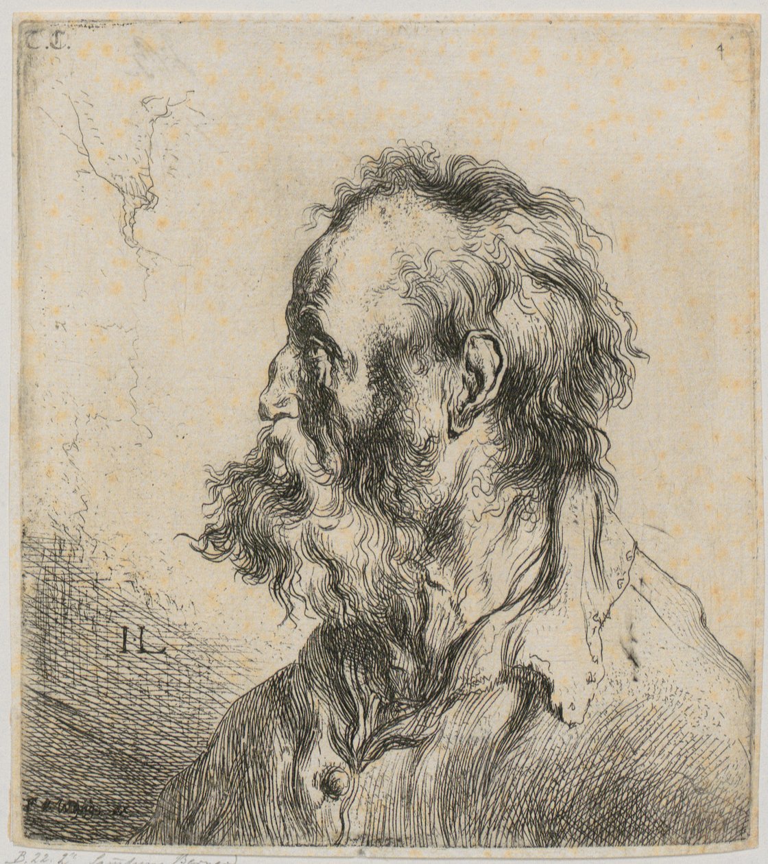 Brystbilde av en skjeggete gammel mann av Jan Lievens