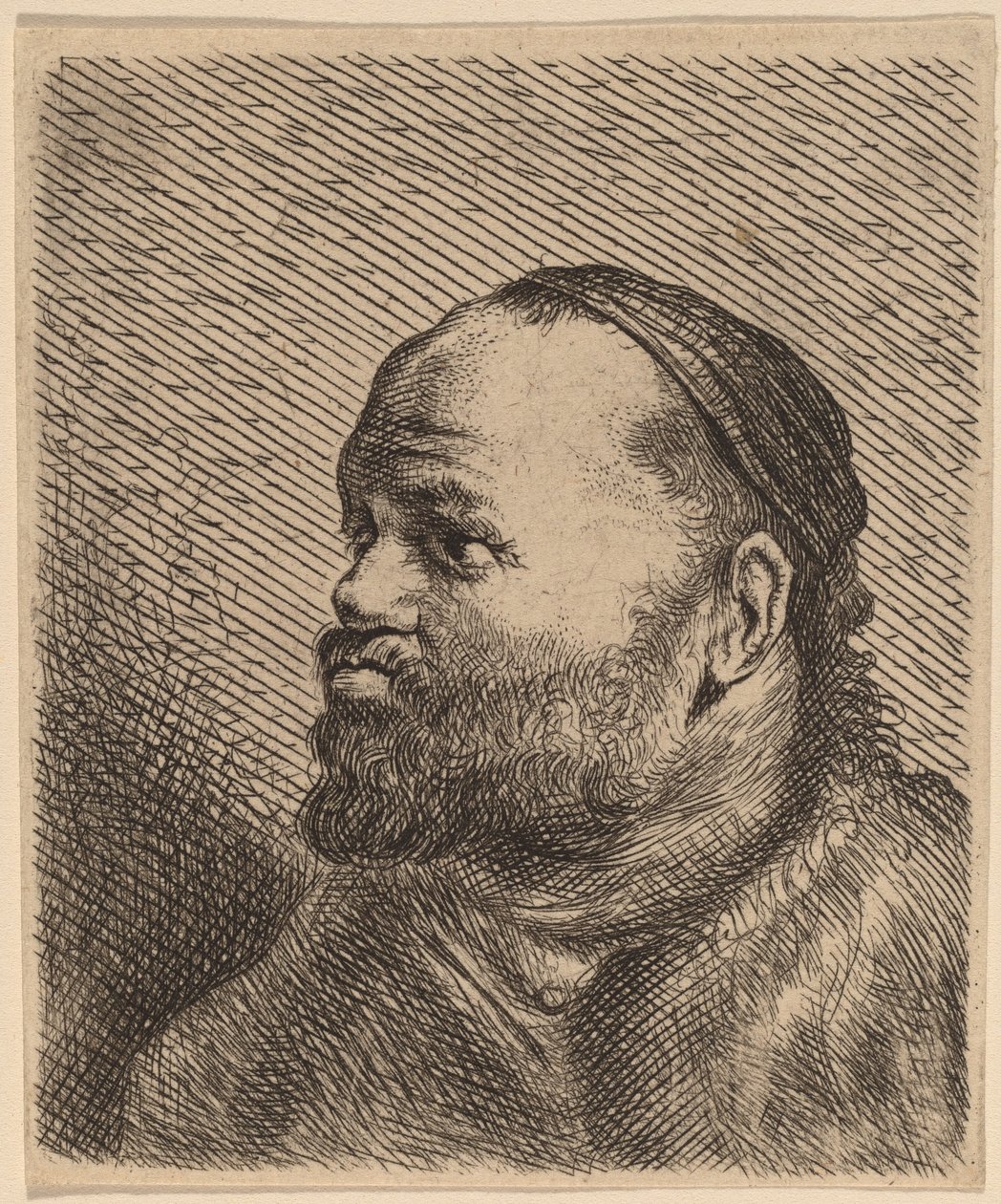 Byste av en mann med tykke lepper av Jan Lievens