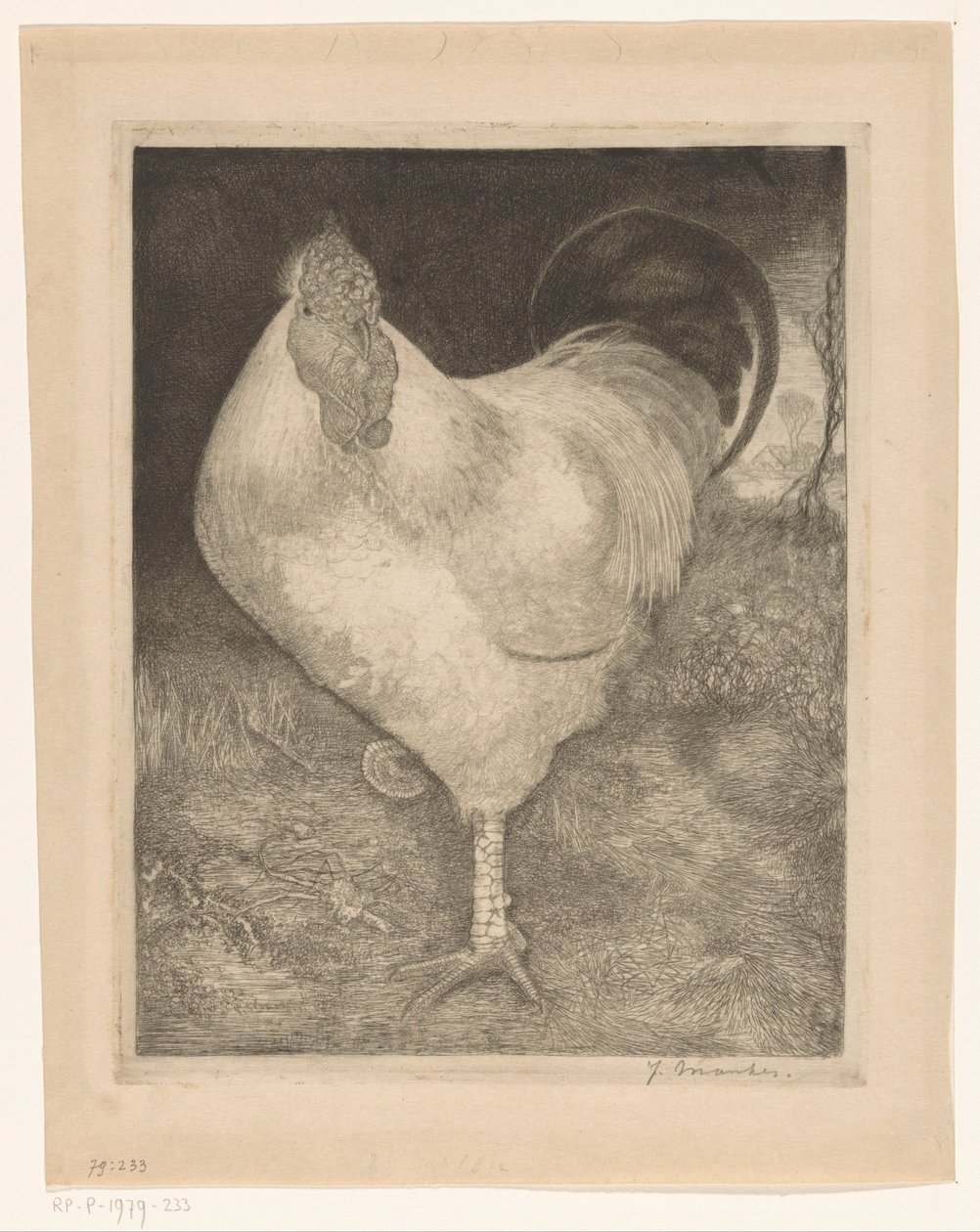 Hane på ett ben av Jan Mankes (signed by artist)