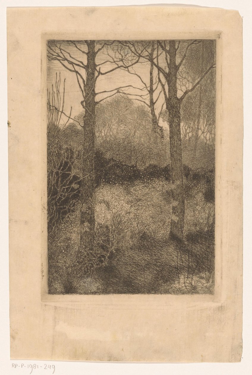 skogkanten av Jan Mankes