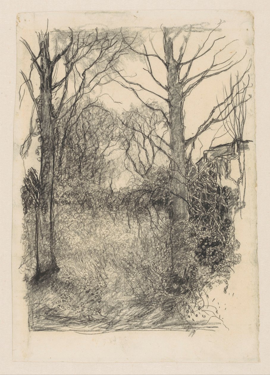 skogkanten av Jan Mankes