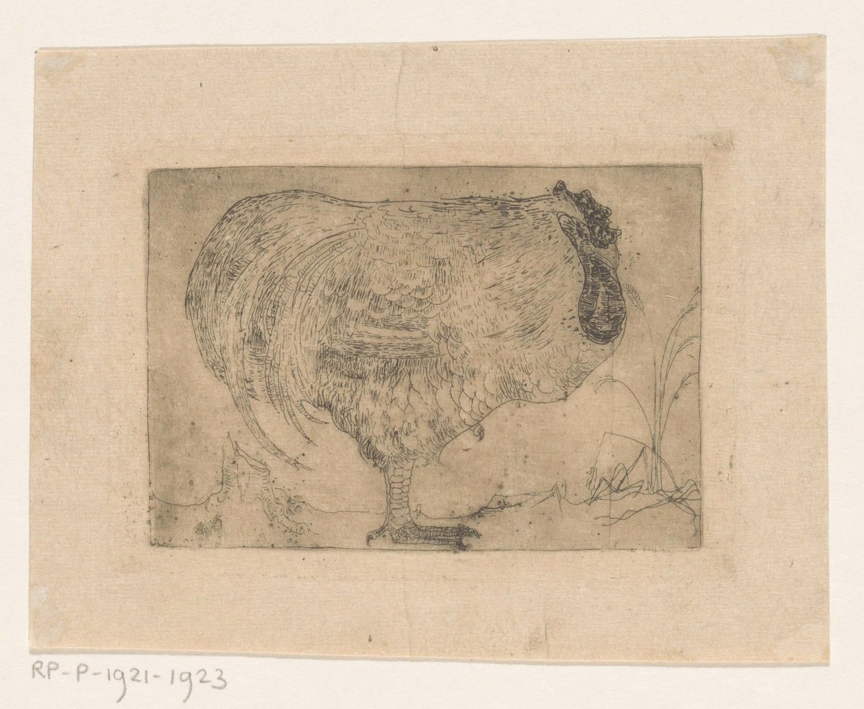 Hukende hane av Jan Mankes