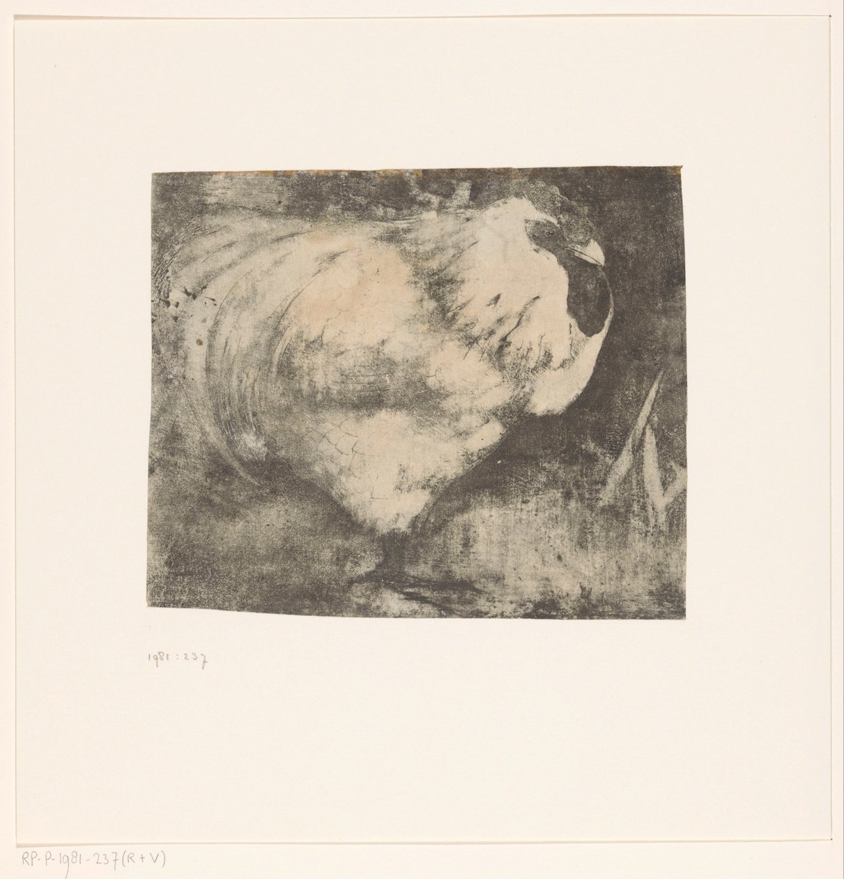 hukende kuk av Jan Mankes