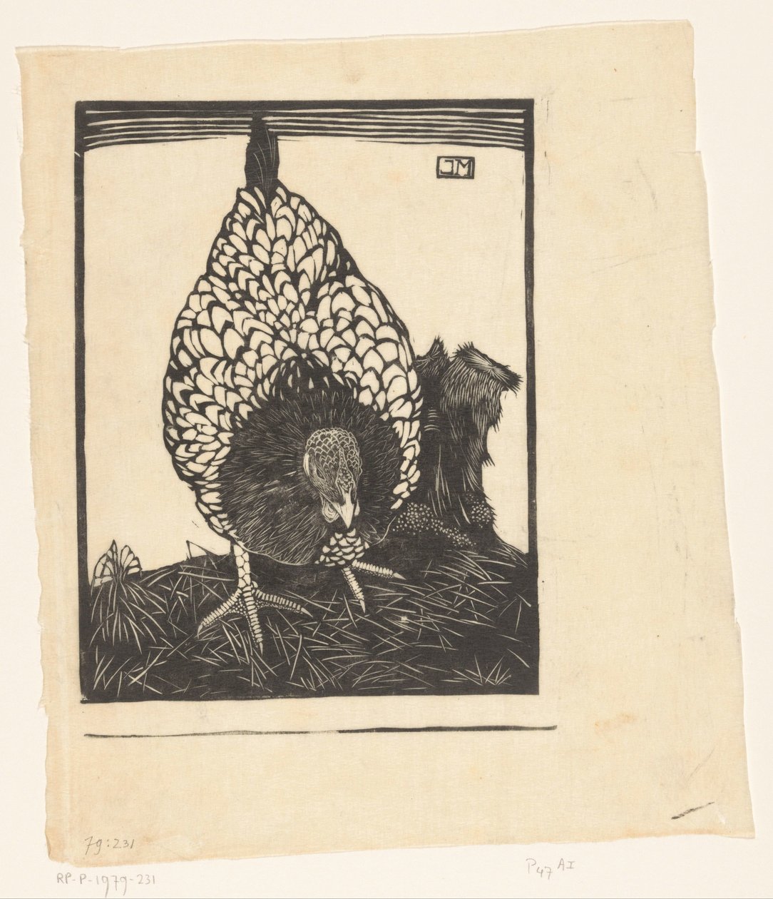 sølv wyandotte av Jan Mankes