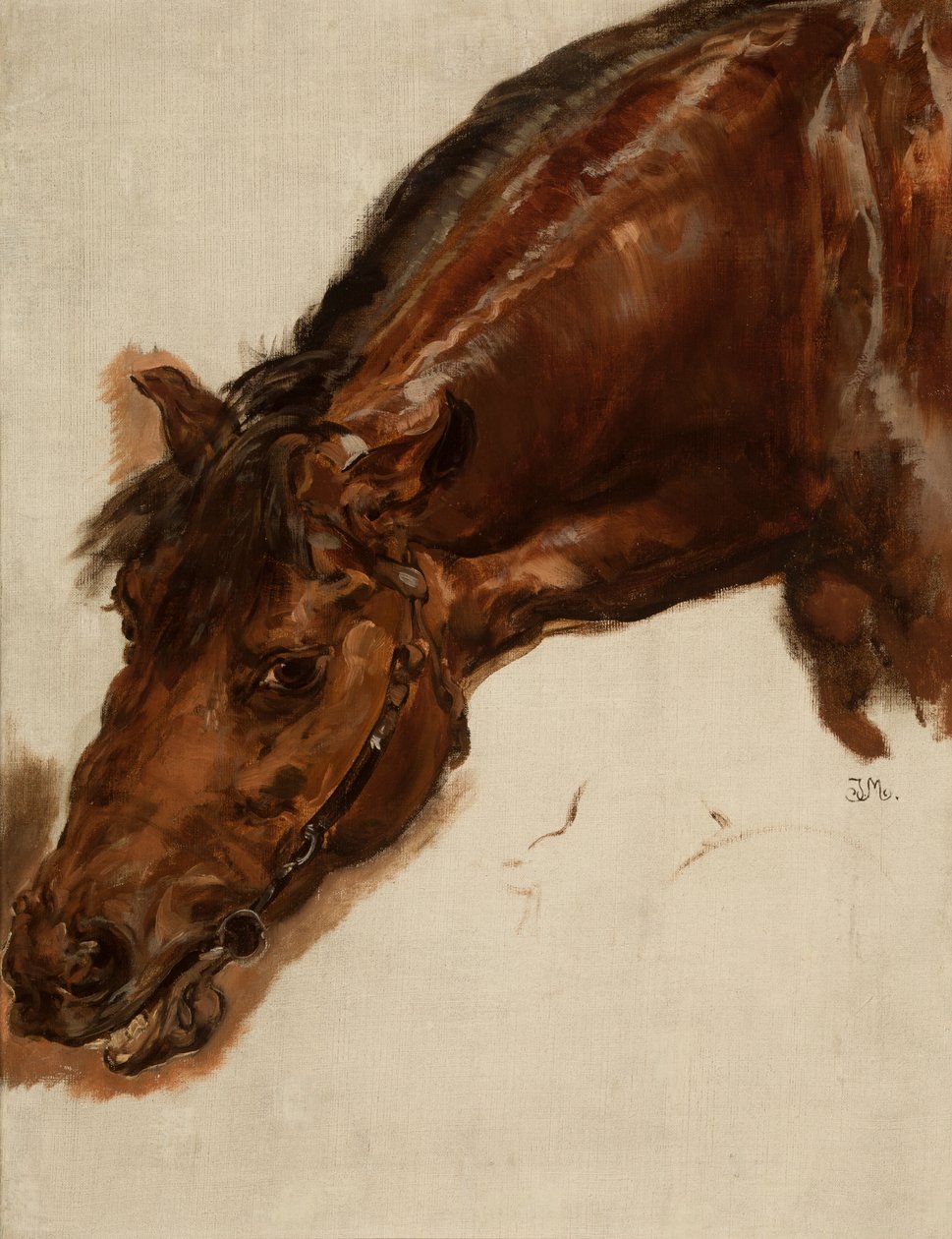 Studie av et hestehode av Jan Matejko