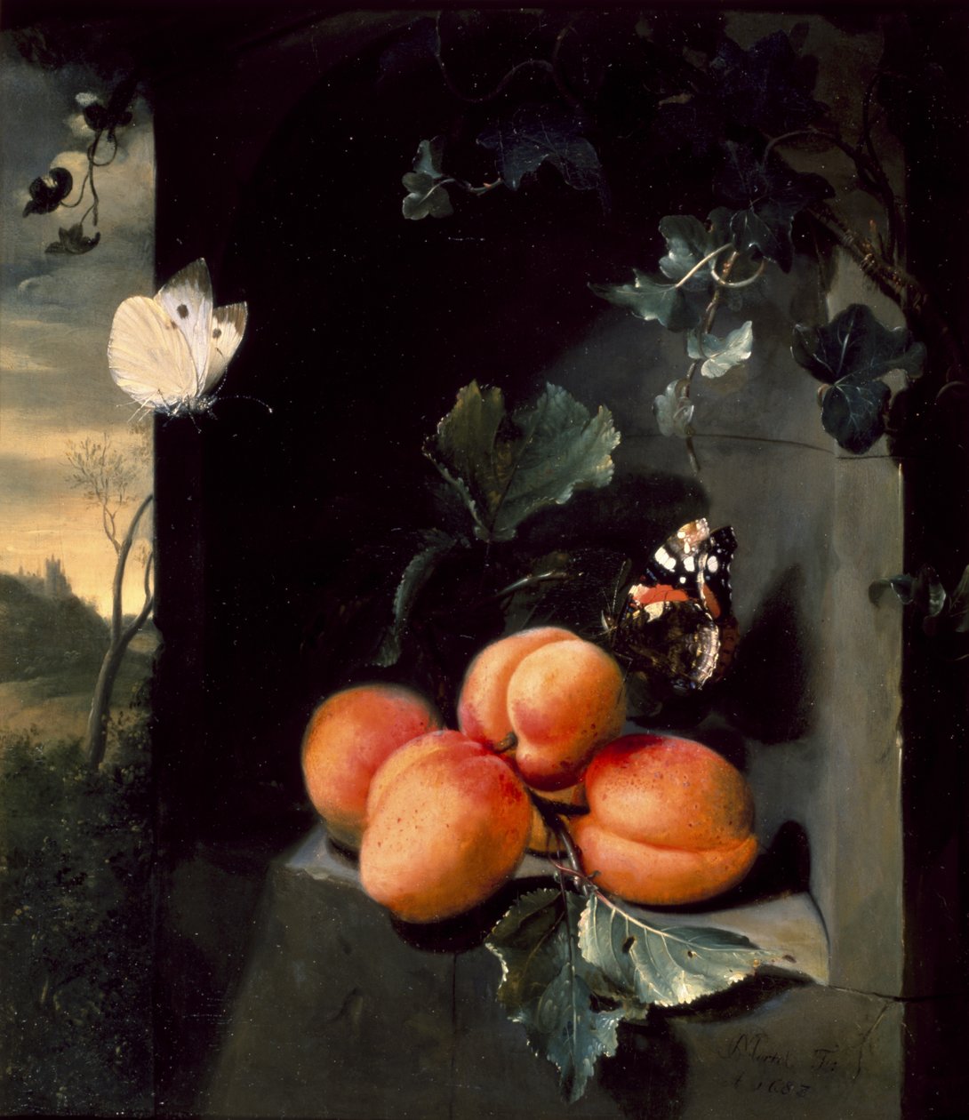 Stilleben med aprikoser og sommerfugler, 1683 av Jan Mortel