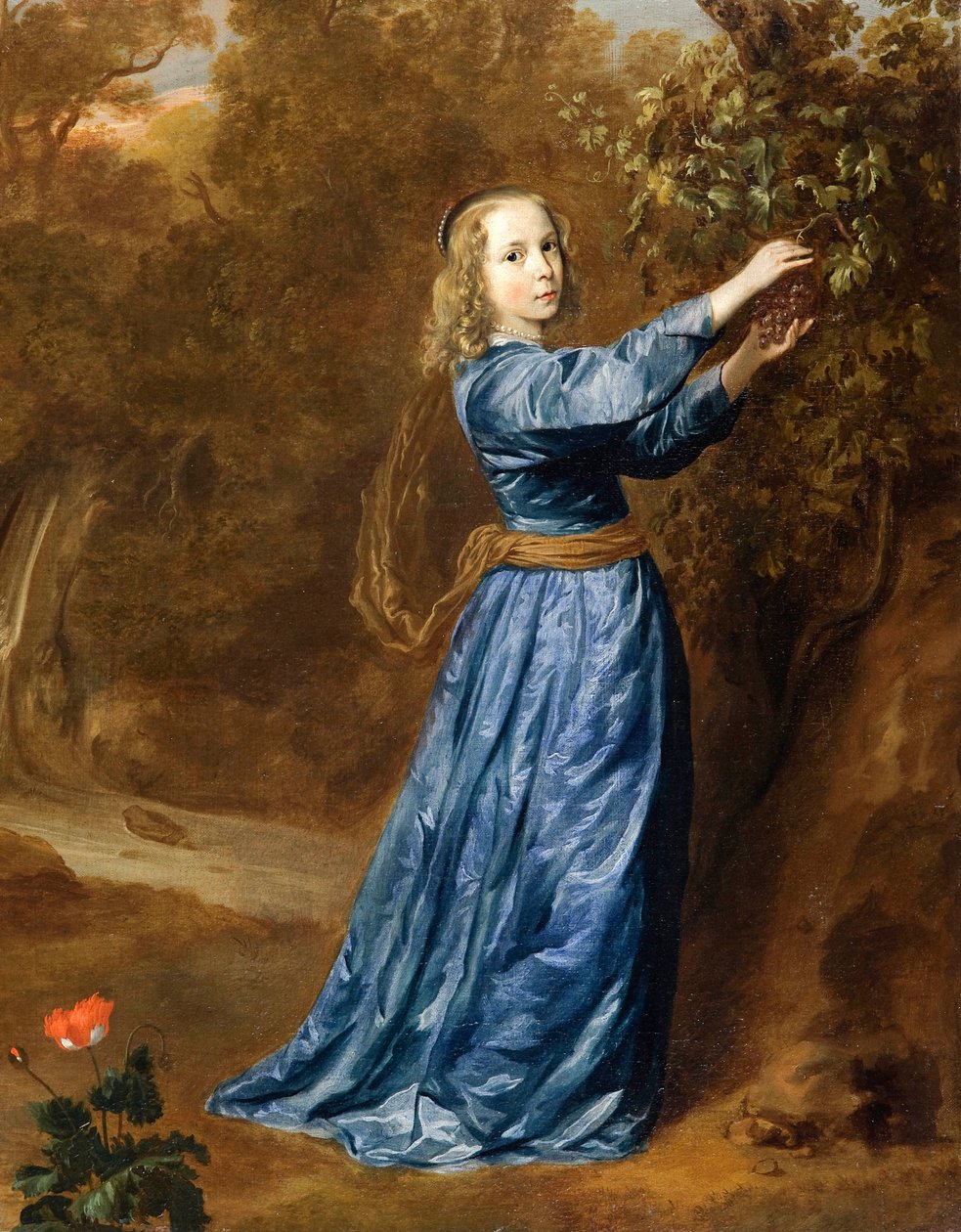 ""Portrett av en jente som plukker druer"" (Portrett av en jente som plukker druer) Maleri av Jan (Johan, Johannes) Mytens (Mijtens) (ca 1614-1670), - Olje på lerret Dim 50,2x40,5 cm Foundation Custodia av Jan Mytens