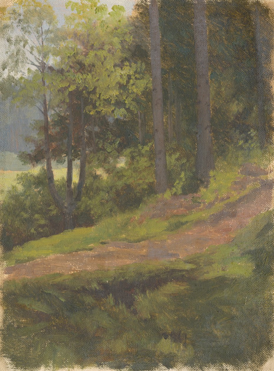 Sti på kanten av skogen av Jan Nowopacký