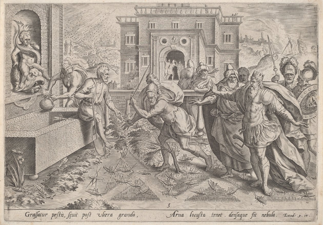 Pesten av gresshopper av Jan Sadeler I, after Maarten van Cleef
