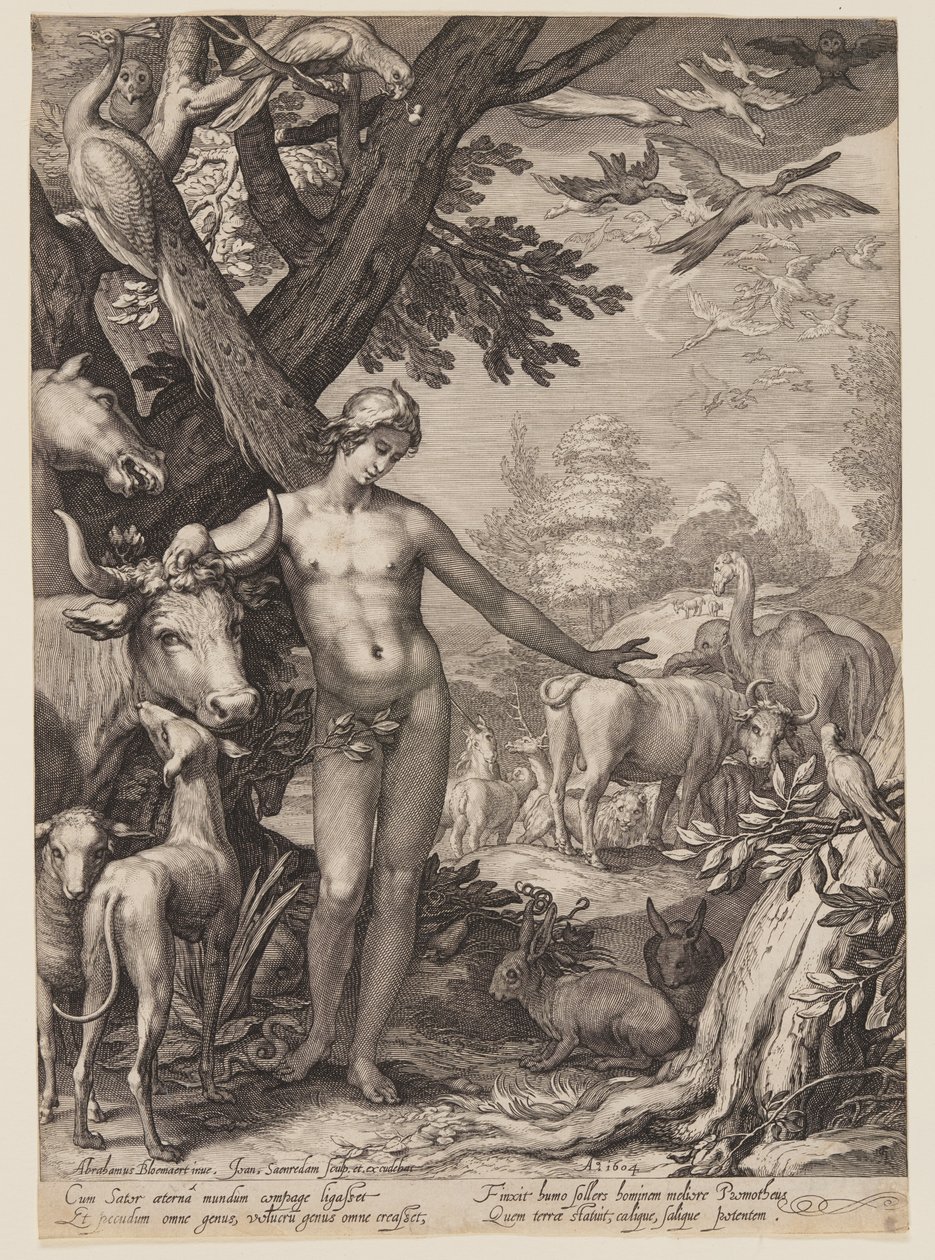  av Jan Saenredam