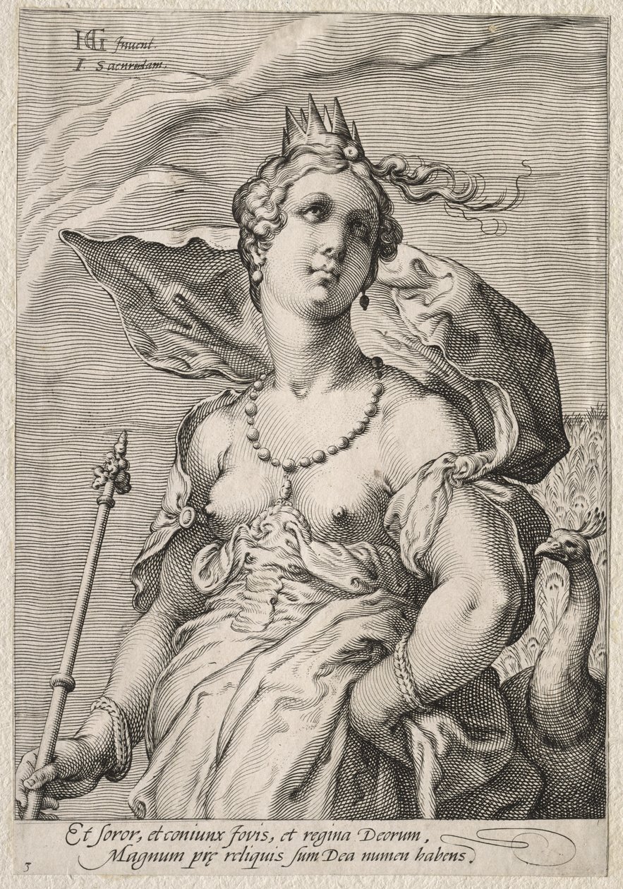 Juno av Jan Saenredam