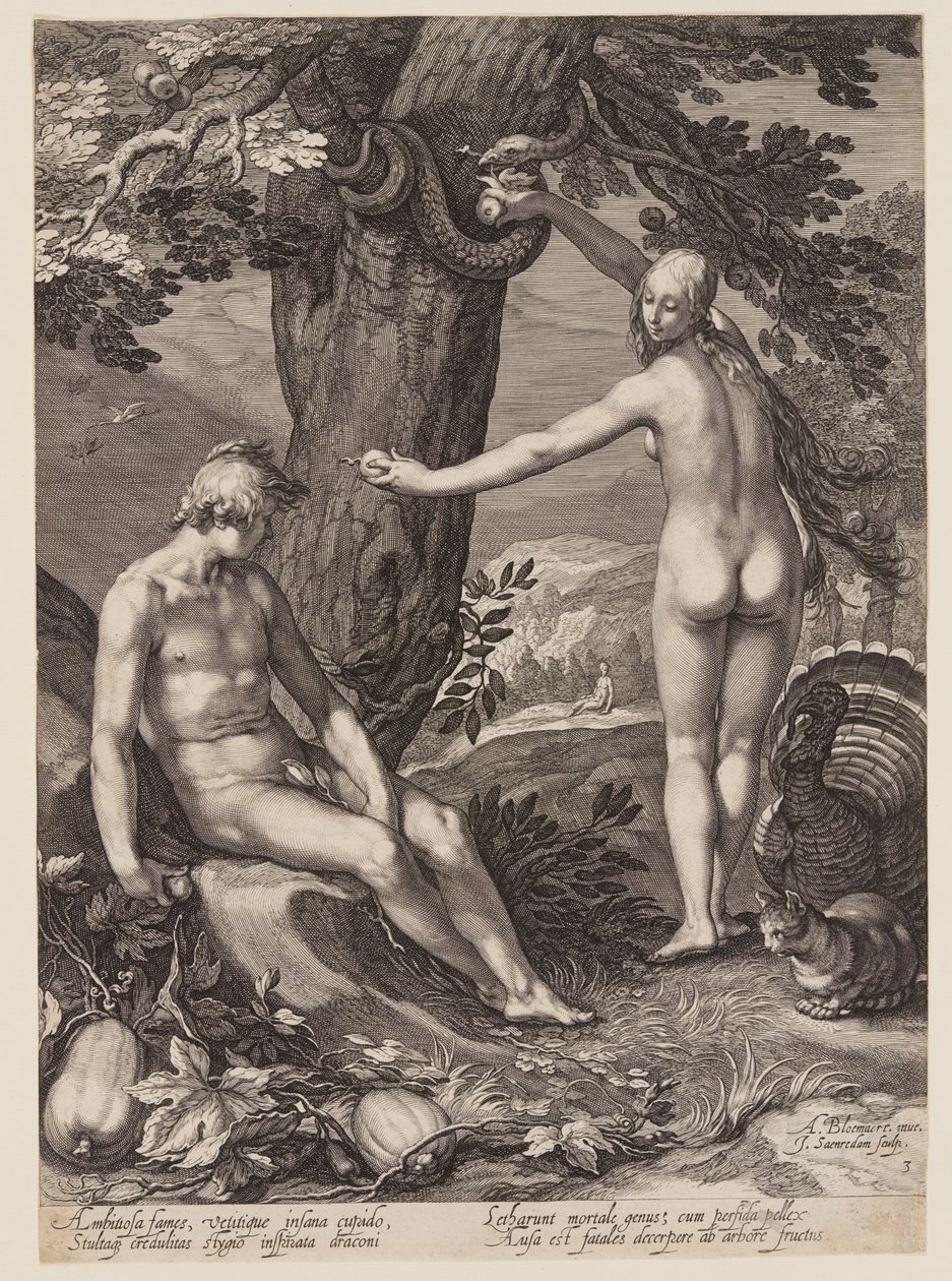  av Jan Saenredam