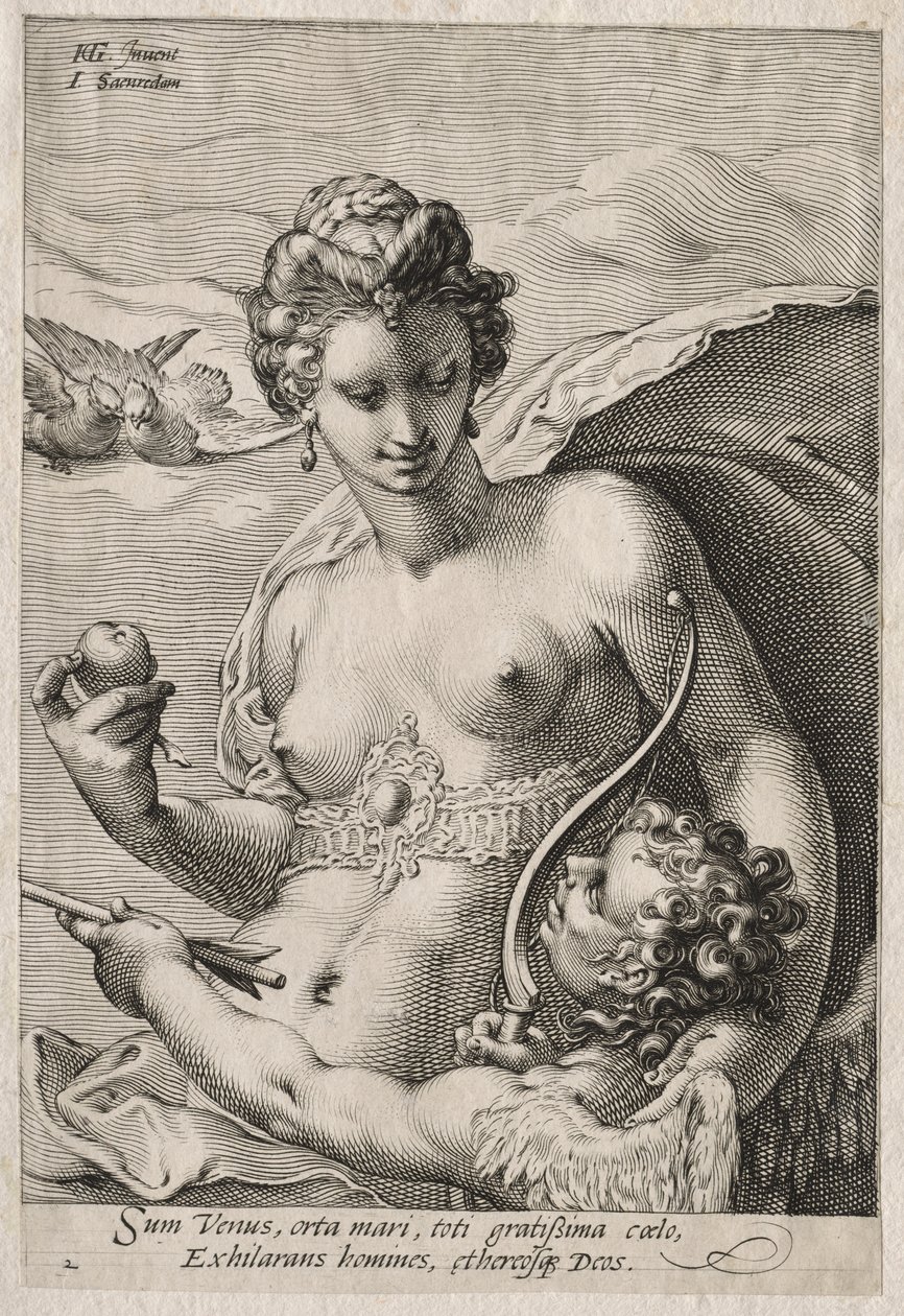 Venus og Amor av Jan Saenredam
