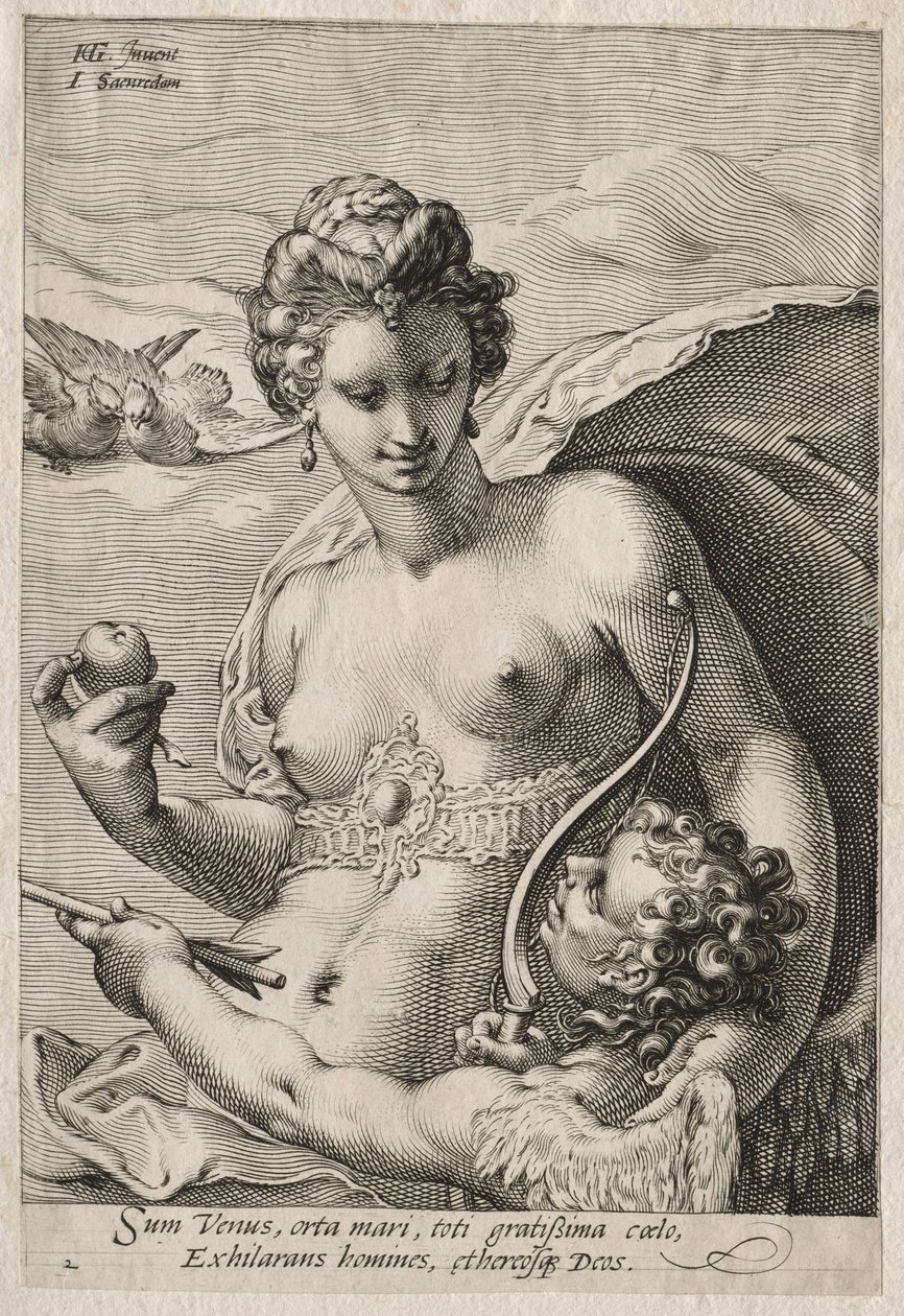 Venus og Amor, ca. 1595. av Jan Saenredam