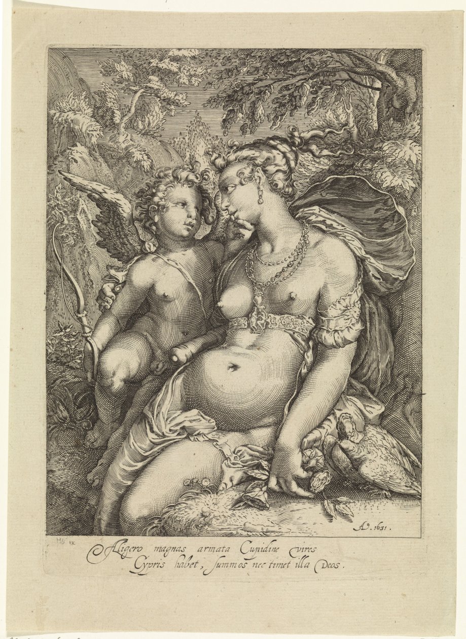 Venus forelsket av Jan Saenredam