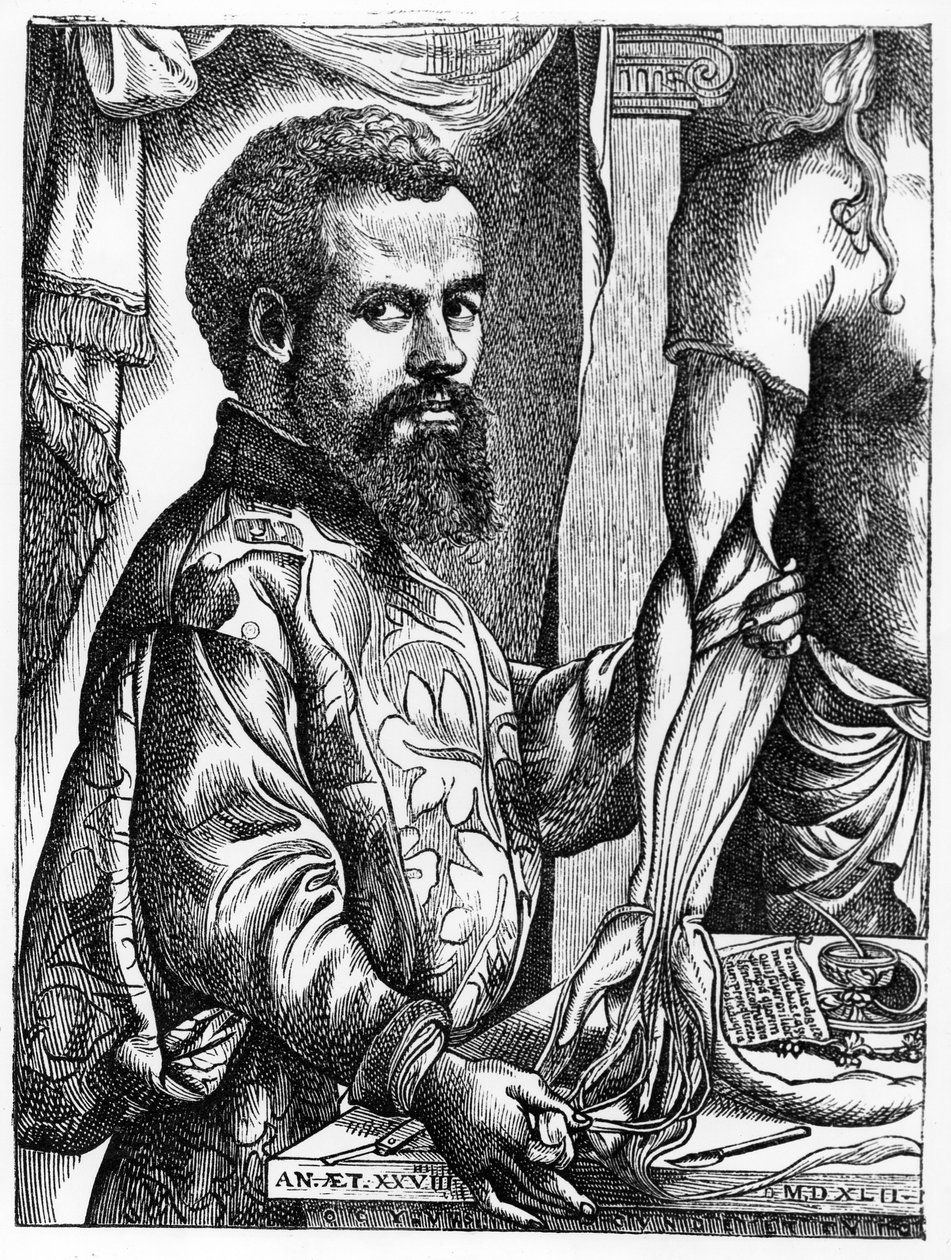 Portrett av Andreas Vesalius (1514-64) fra hans bok 