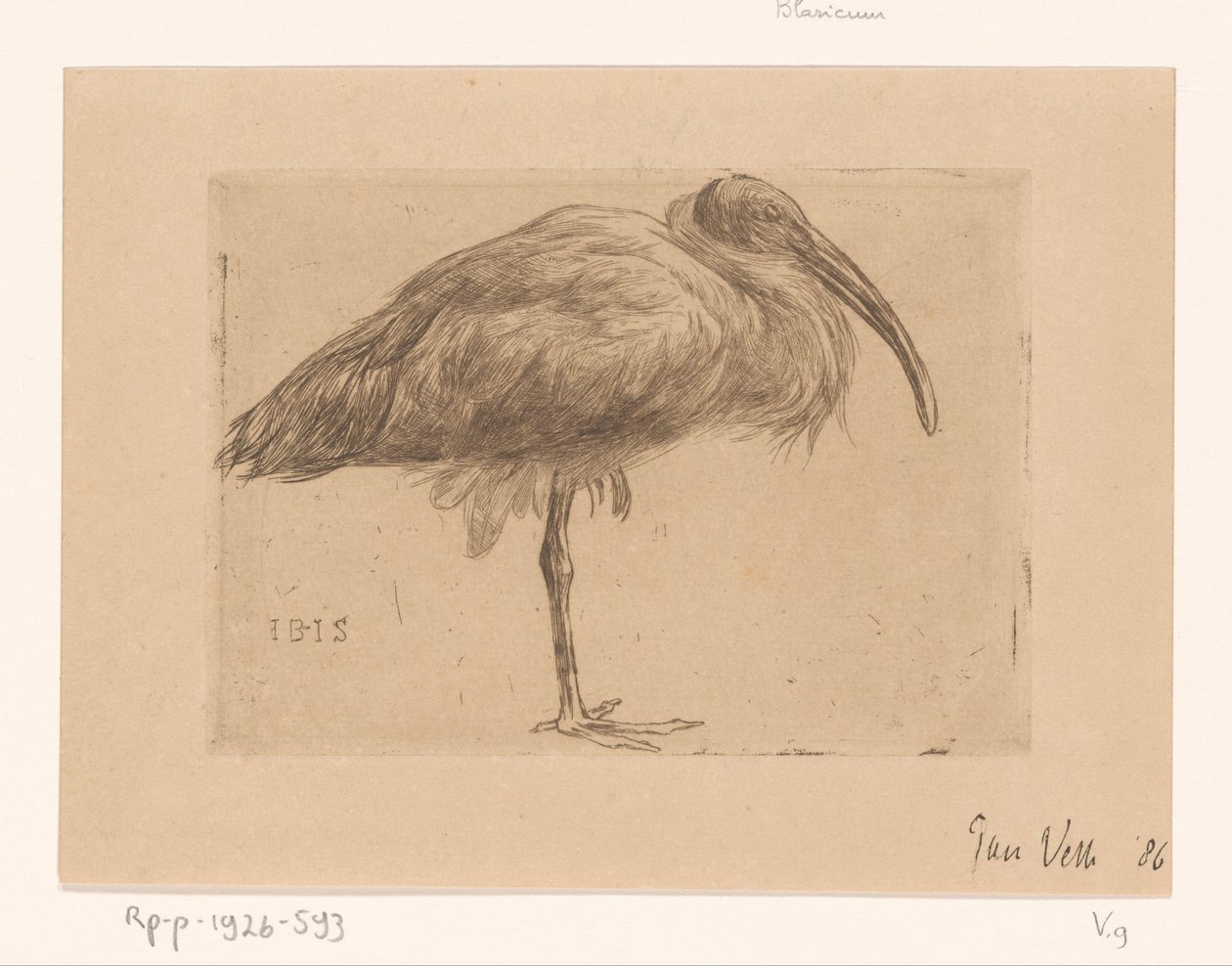 Ibis (original tittel på objekt) av Jan Veth (signed by artist)