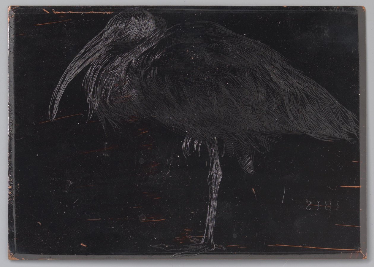 Ibis (original tittel på objekt) av Jan Veth