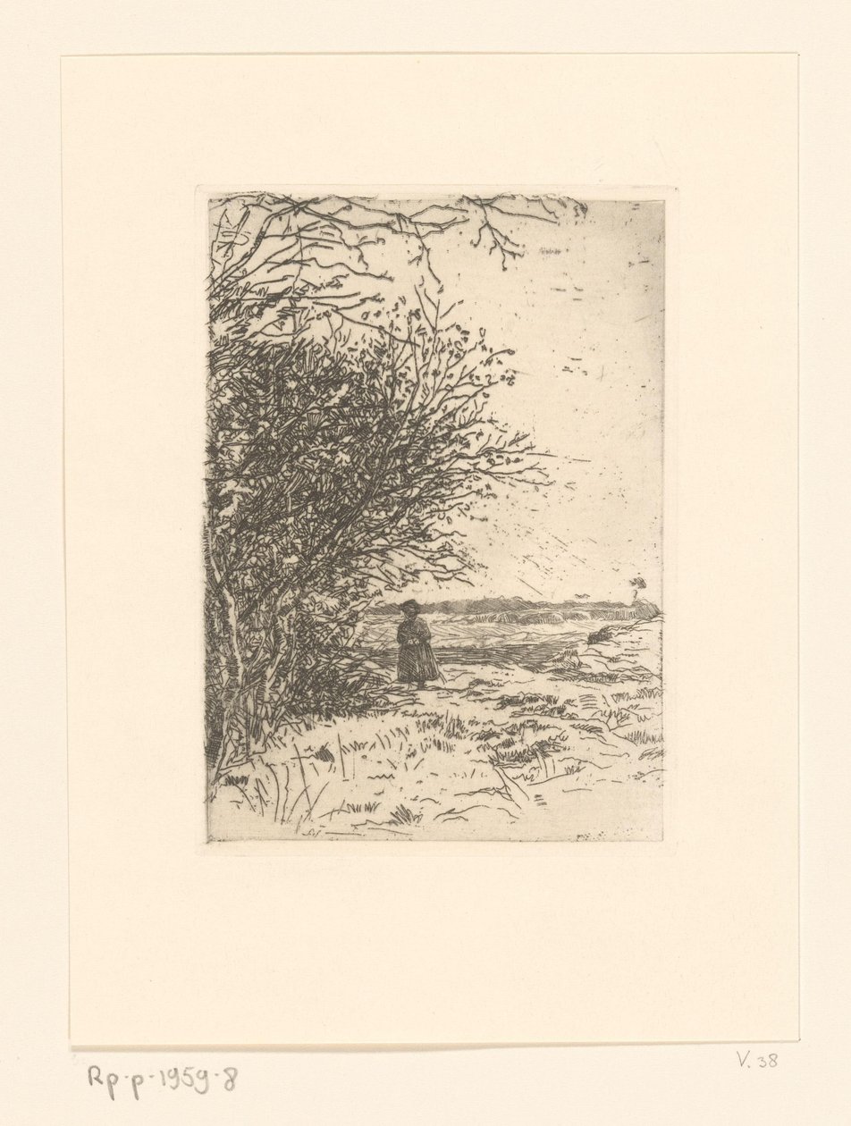 Woman in a Landscape Woman on the Heath (original tittel) av Jan Veth