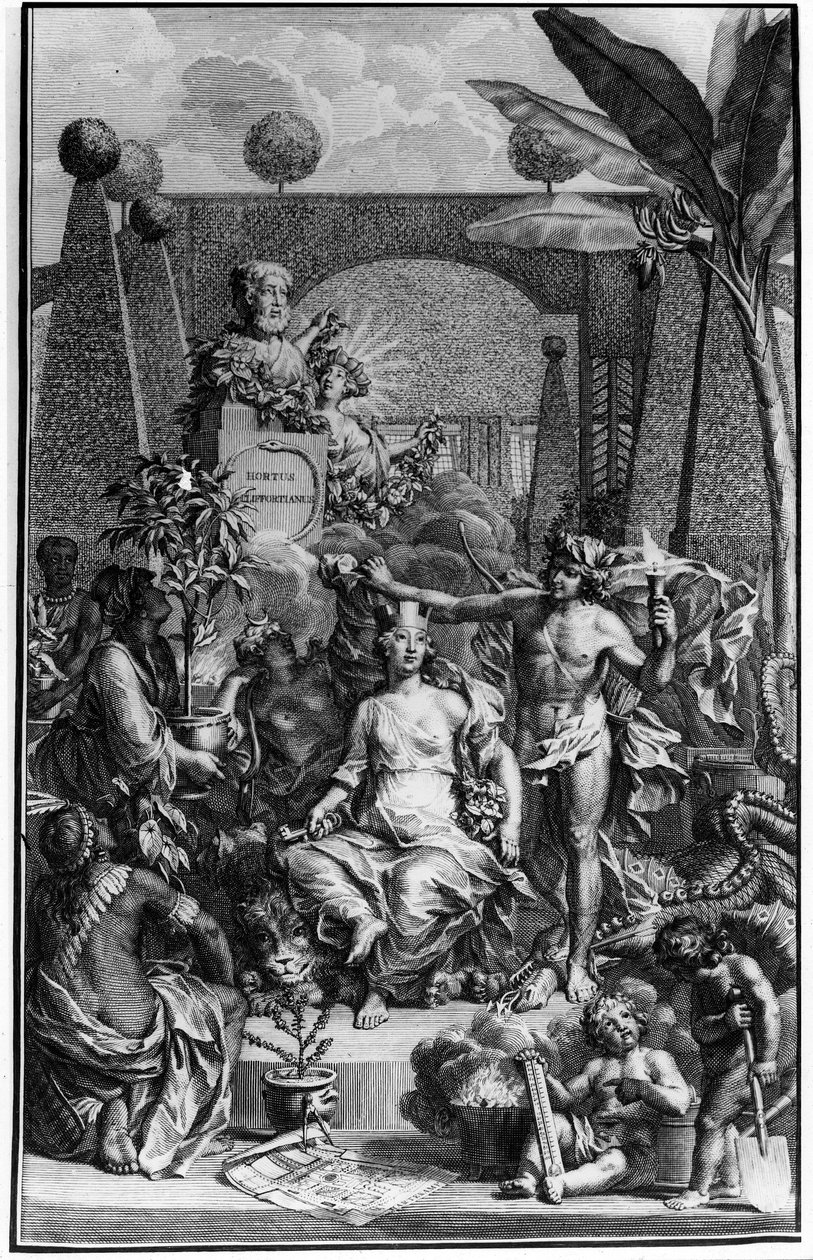 Frontispice av "Hortus Cliffortianus" av Charles Linne (Carl von Linne, Linneus 1707 - 1778), svensk naturforsker. 1737. Gravering av Jan Wandelaar (1690-1759). Privat samling. av Jan Wandelaar