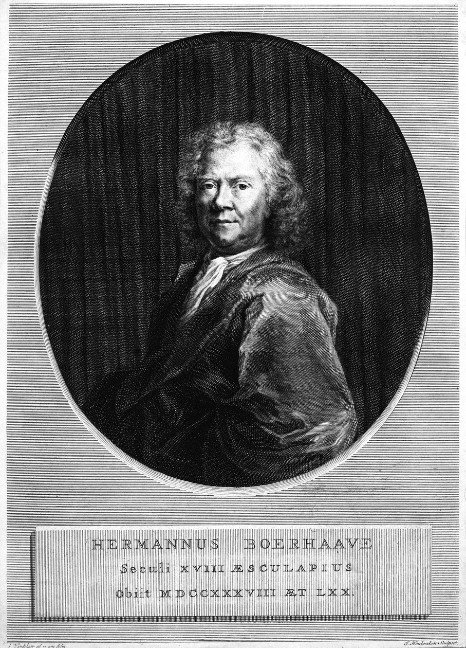 Herman Boerhaave, gravert av Jacobus Houbraken av Jan Wandelaar