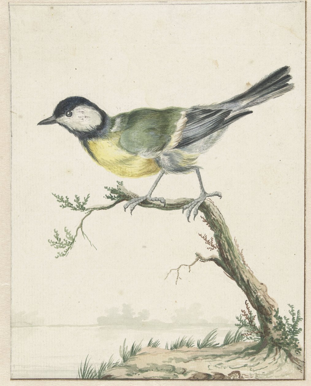 Kullmeis av Jan Baptist Weenix
