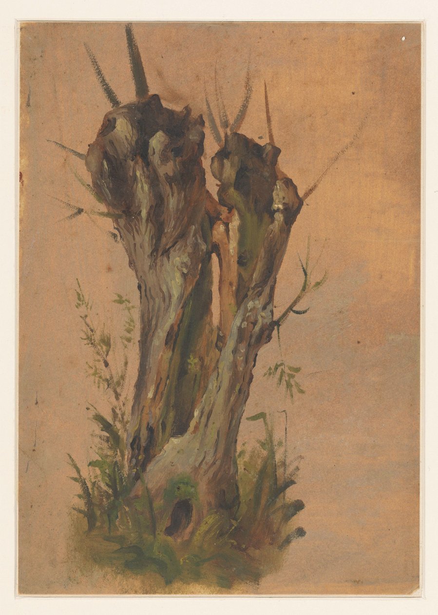 pollard selje av Jan Weissenbruch
