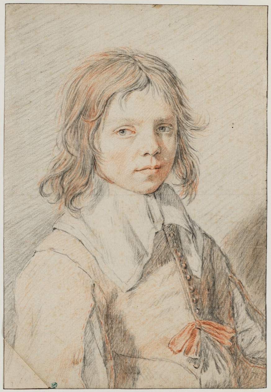 Portrett av en gutt av Jan de Bray