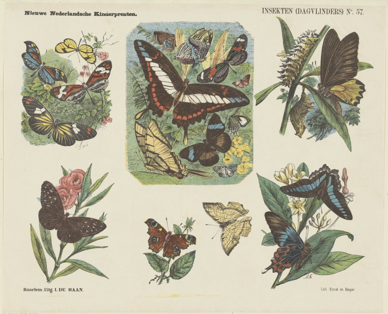 Insekter (sommerfugler) (tittel på objekt) Nye nederlandske barnetrykk (serietittel på objekt) av Jan de Haan