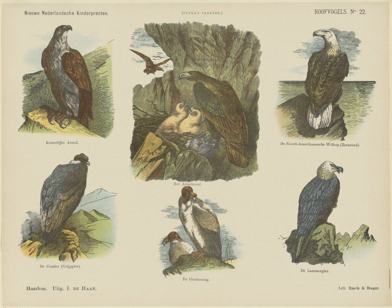 Birds of Prey (tittel på objekt) Nye nederlandske barnetrykk (serietittel på objekt) Funkes trykk (serietittel på objekt) av Jan de Haan