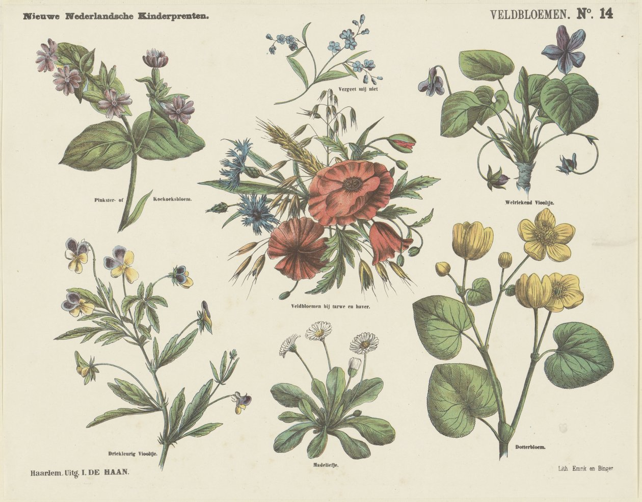 Villblomster (tittel på objekt) Nye nederlandske barnetrykk (serietittel på objekt) av Jan de Haan