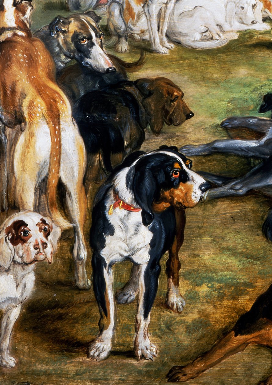 Hunder, detalj fra Diana og Nymphs på tidspunktet for å forlate av Jan the Elder Brueghel